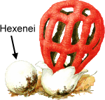 Witch’s egg