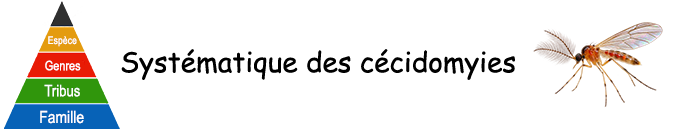 Galles végétales - Systématique des cécidomyies (Cecidomyiidae) Galles végétales - Systématique des cécidomyies (Cecidomyiidae)