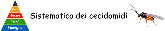 Galle vegetali - Sistematica dei Cecidomidi (Cecidomyiidae)